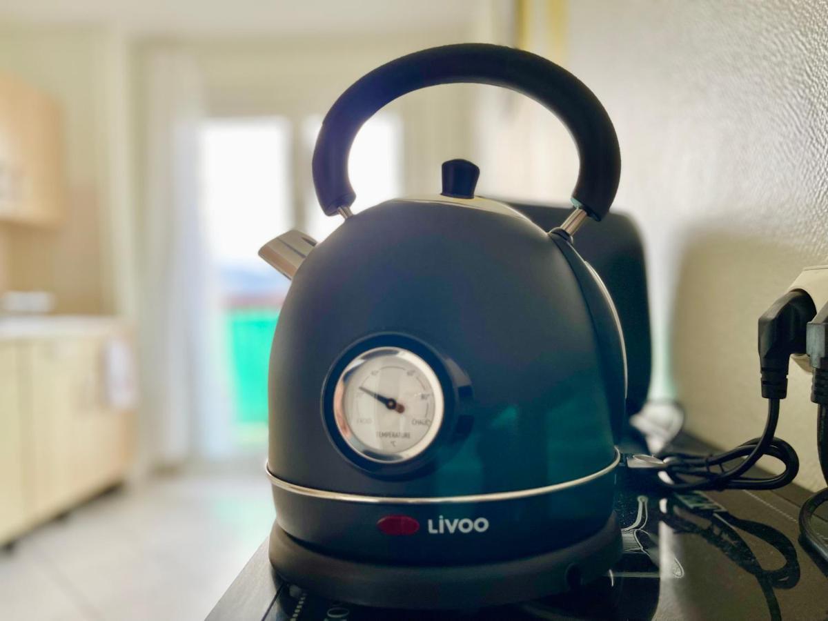 דירות Colmar - La Cigogne - Balcon - Vue Degagee - Netflix - Wifi Fibre - Parking Gratuit - Quartier Populaire מראה חיצוני תמונה