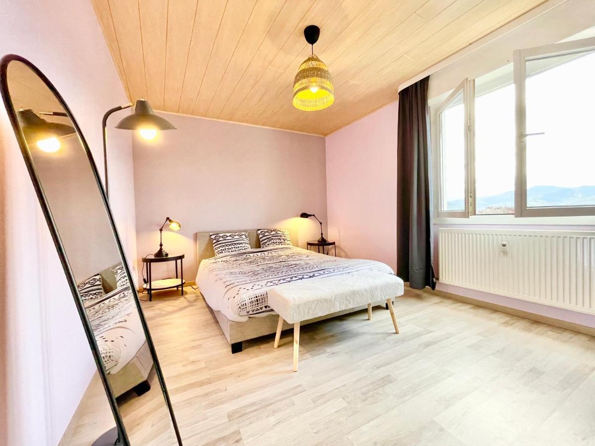 דירות Colmar - La Cigogne - Balcon - Vue Degagee - Netflix - Wifi Fibre - Parking Gratuit - Quartier Populaire מראה חיצוני תמונה